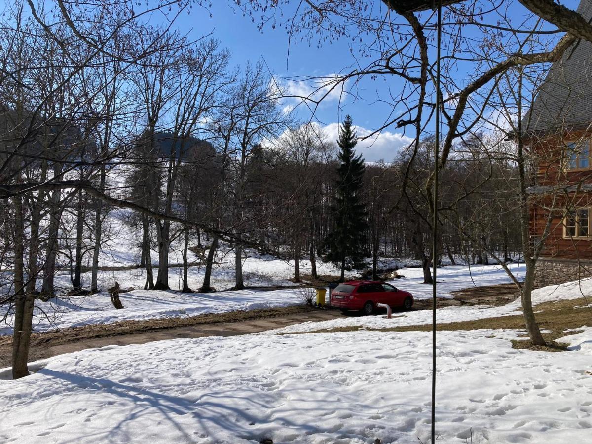 Hotel Samota U Hadince Bartosovice v Orlickych Horach Exterior foto