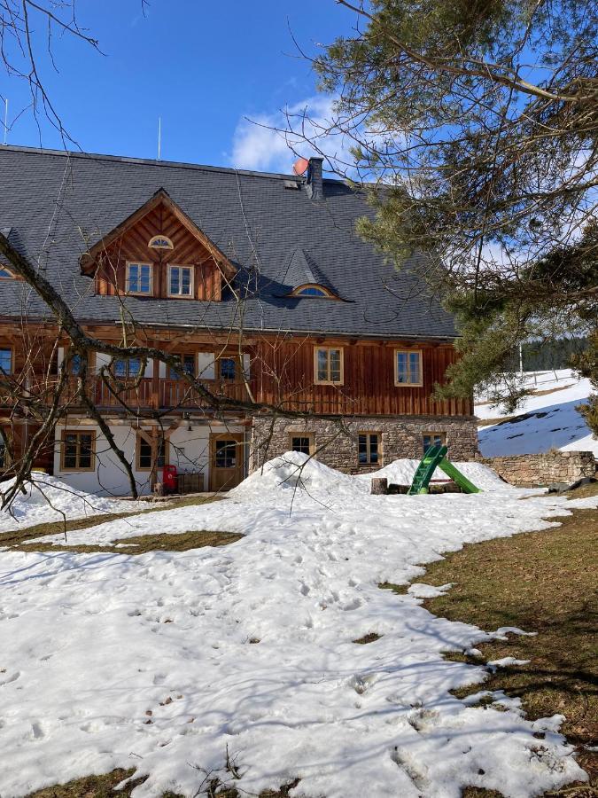 Hotel Samota U Hadince Bartosovice v Orlickych Horach Exterior foto